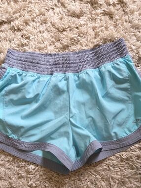 Champion Aqua Athletic Shorts with Gray Waist and Trim